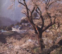 �G�h�q�K���̑��