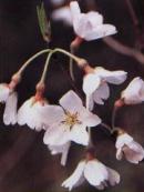 �G�h�q�K���P