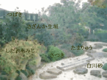 뉀